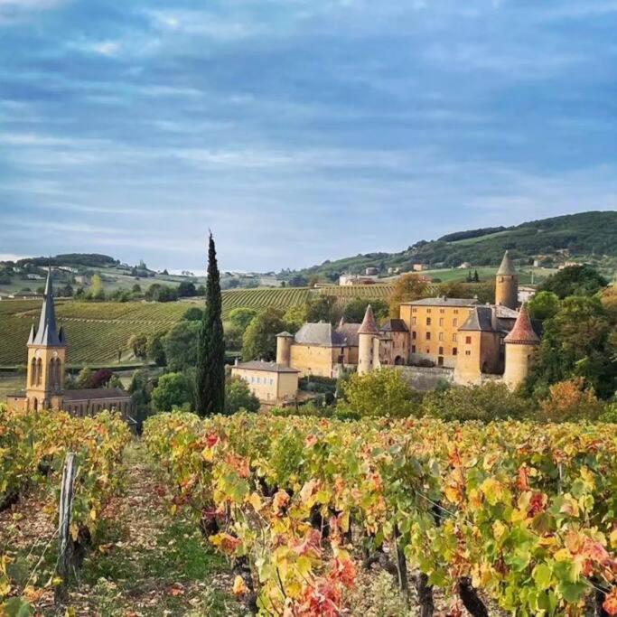 Le Clos Du Botaniste Pouilly-le-Monial Exterior foto